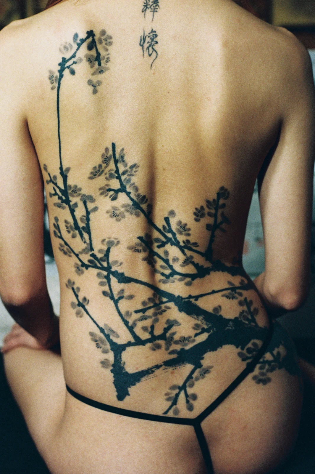 Plum blossom — back — 2025, Image 23
