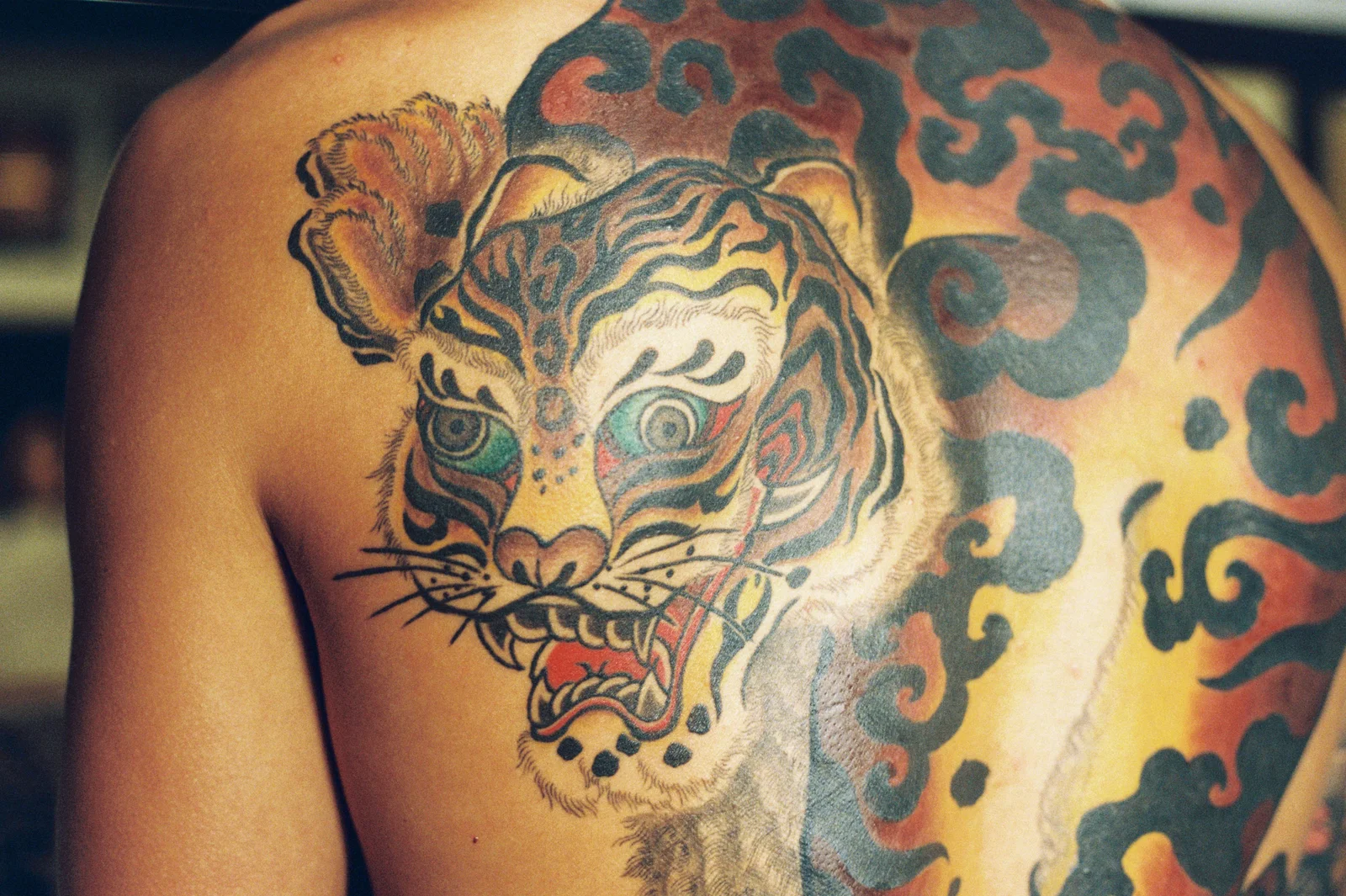 Tiger — back — 2026, Image 2