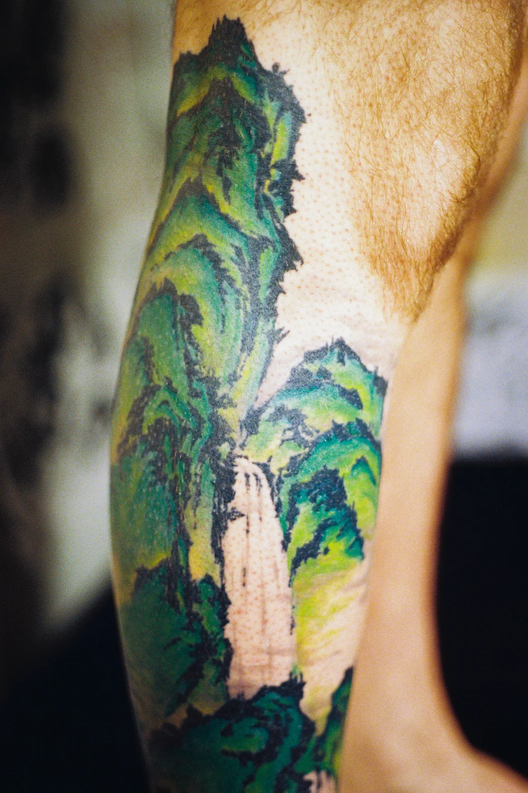 Landscape — calf — 2026, Image 2