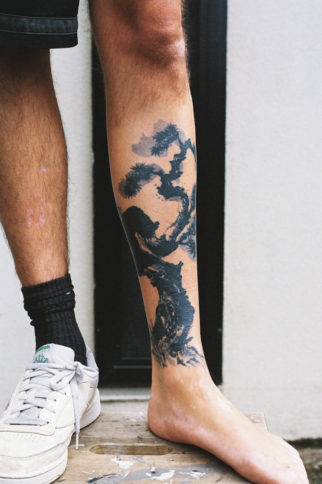 Pine — calf — Seongjin Kim, 2025
