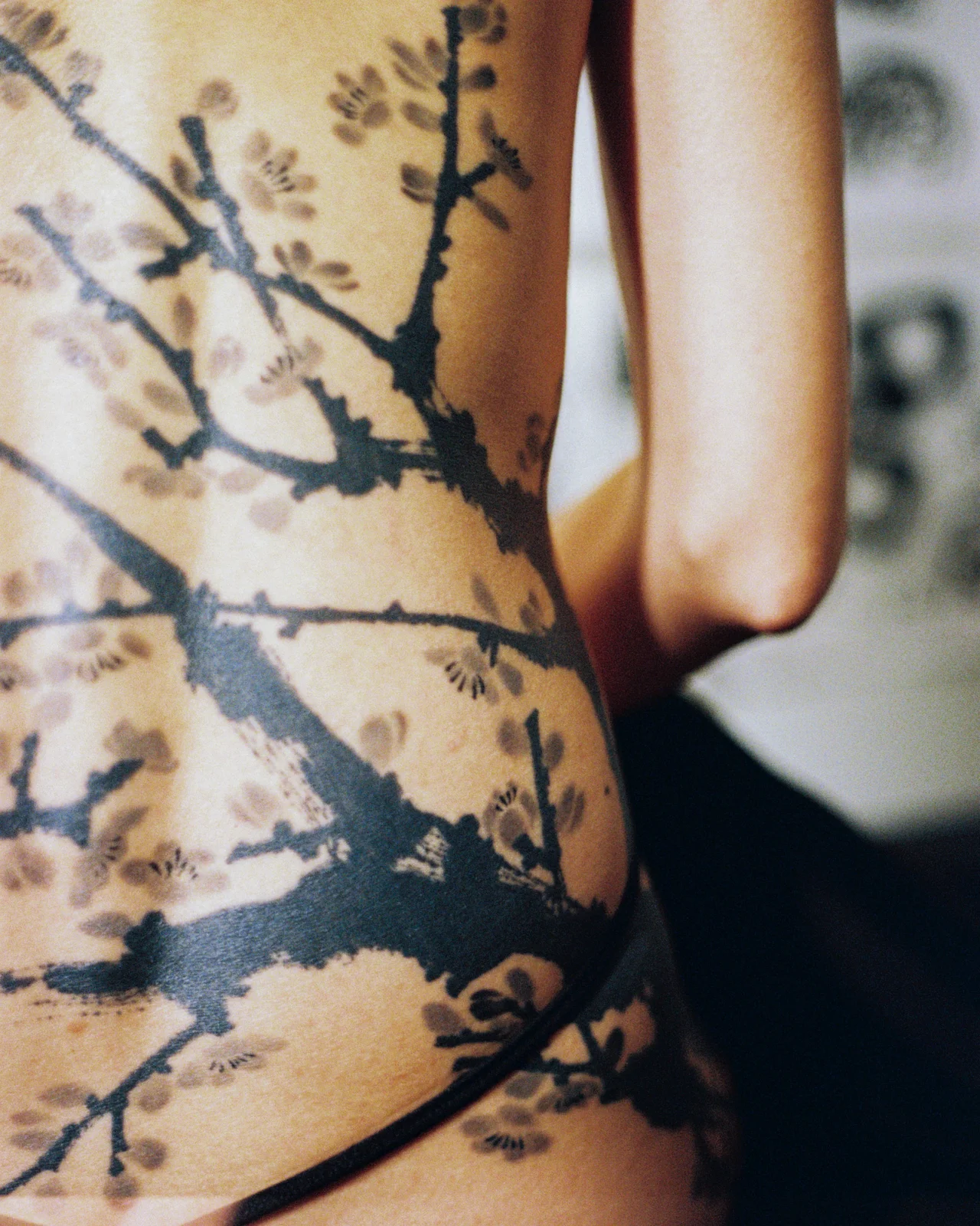 Plum blossom — back — 2025, Image 2